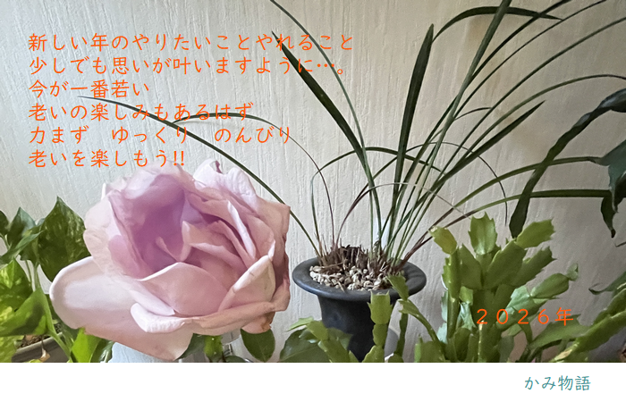 ���ݕ���f����